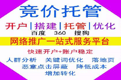 SEM广告投放的精准定位与优化案例